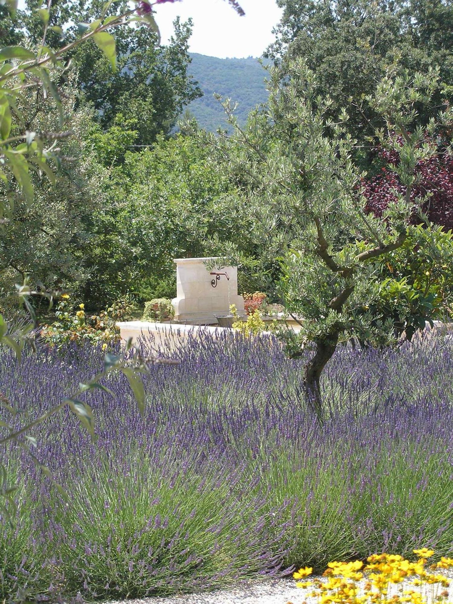 Clos Des Lavandes - Chambres Et Suites De Charme Climatisees-Luberon Lacoste  Exteriör bild