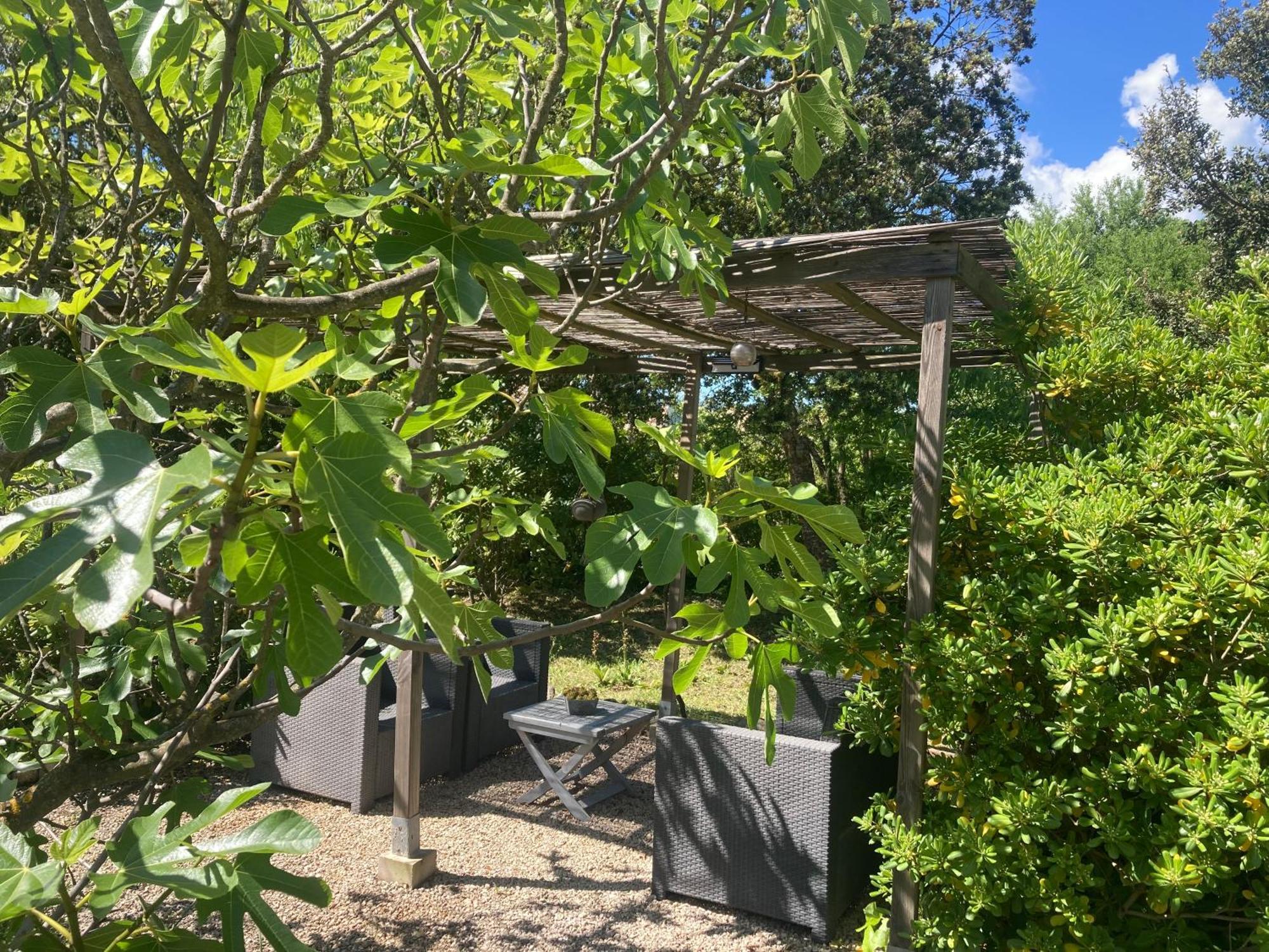 Clos Des Lavandes - Chambres Et Suites De Charme Climatisees-Luberon Lacoste  Exteriör bild