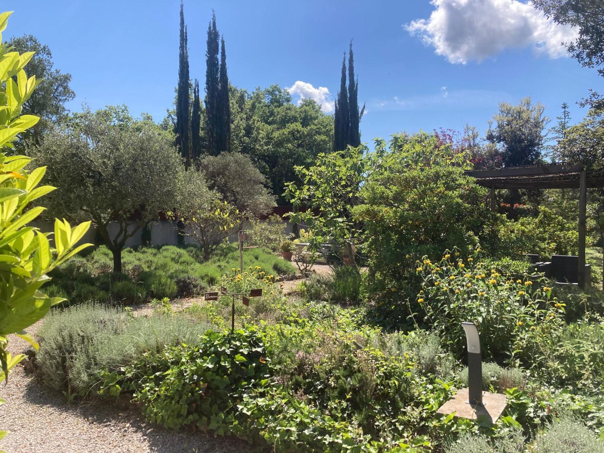 Clos Des Lavandes - Chambres Et Suites De Charme Climatisees-Luberon Lacoste  Exteriör bild