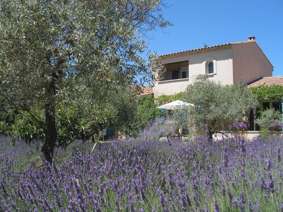 Clos Des Lavandes - Chambres Et Suites De Charme Climatisees-Luberon Lacoste  Exteriör bild