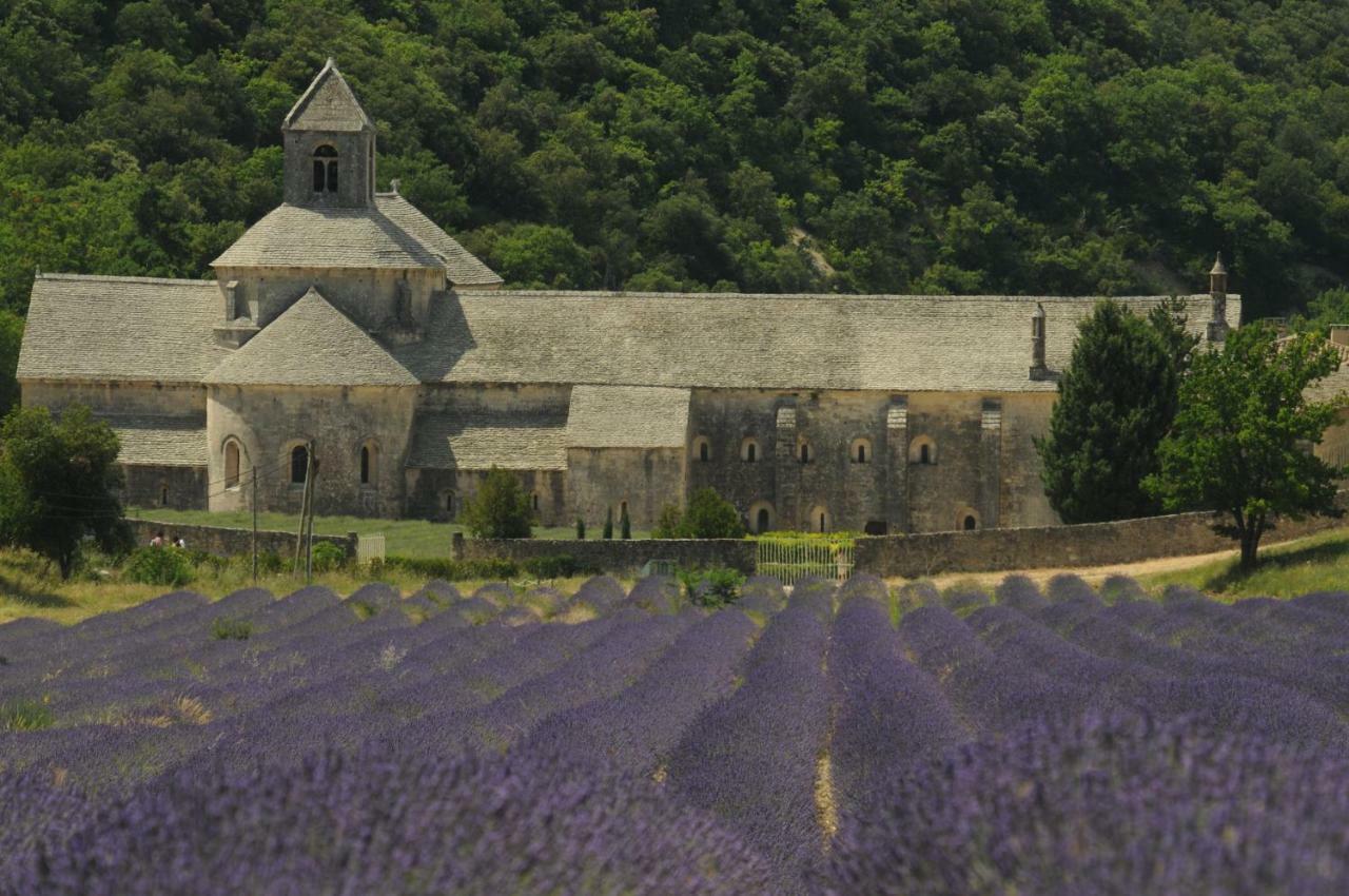 Clos Des Lavandes - Chambres Et Suites De Charme Climatisees-Luberon Lacoste  Exteriör bild